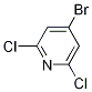 4-Bromo-2,6-dichloropyridine